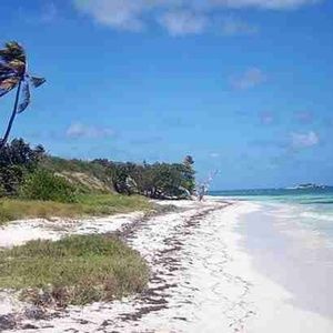 Meet your Posher, Angeline